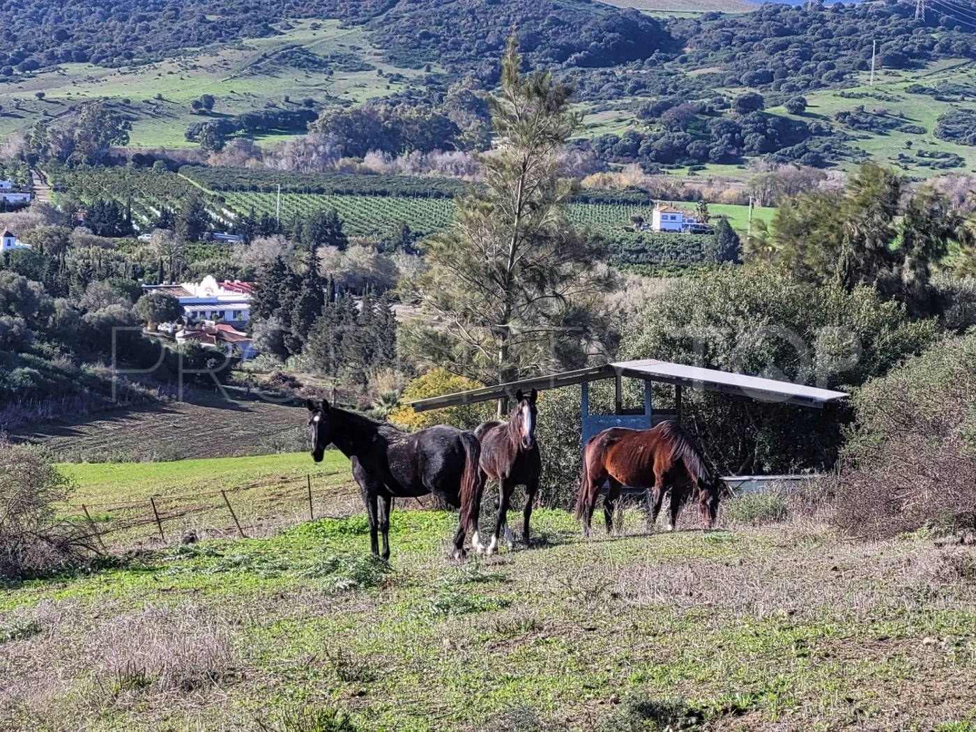 For sale villa in San Martin del Tesorillo