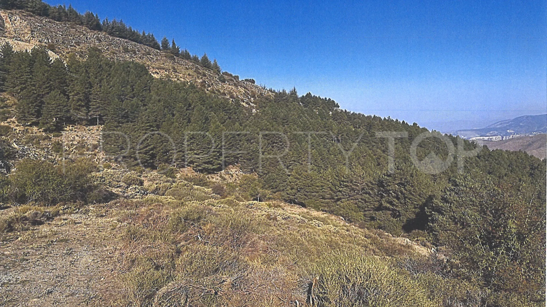 Plot for sale in Güejar Sierra