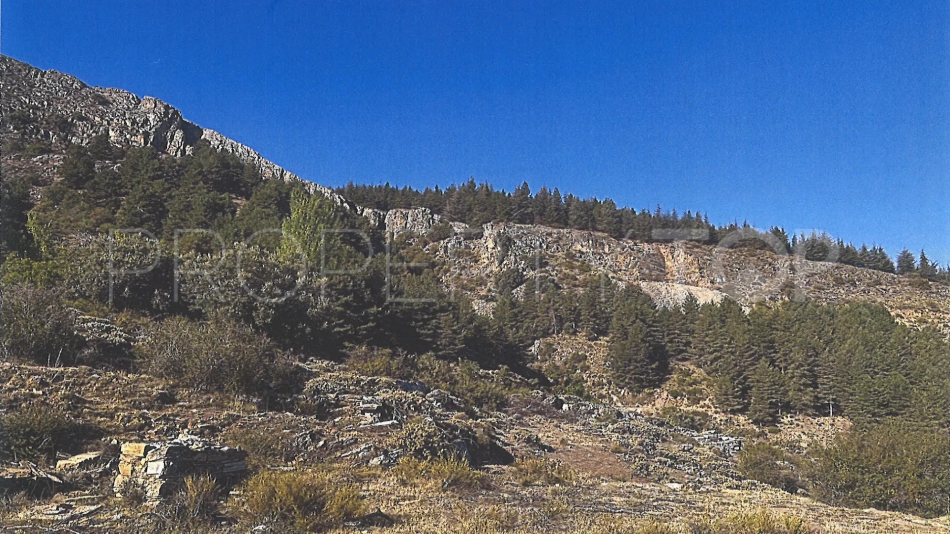 Plot for sale in Güejar Sierra