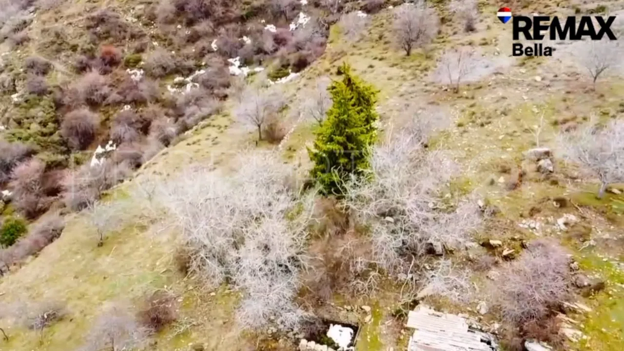 Plot for sale in Güejar Sierra