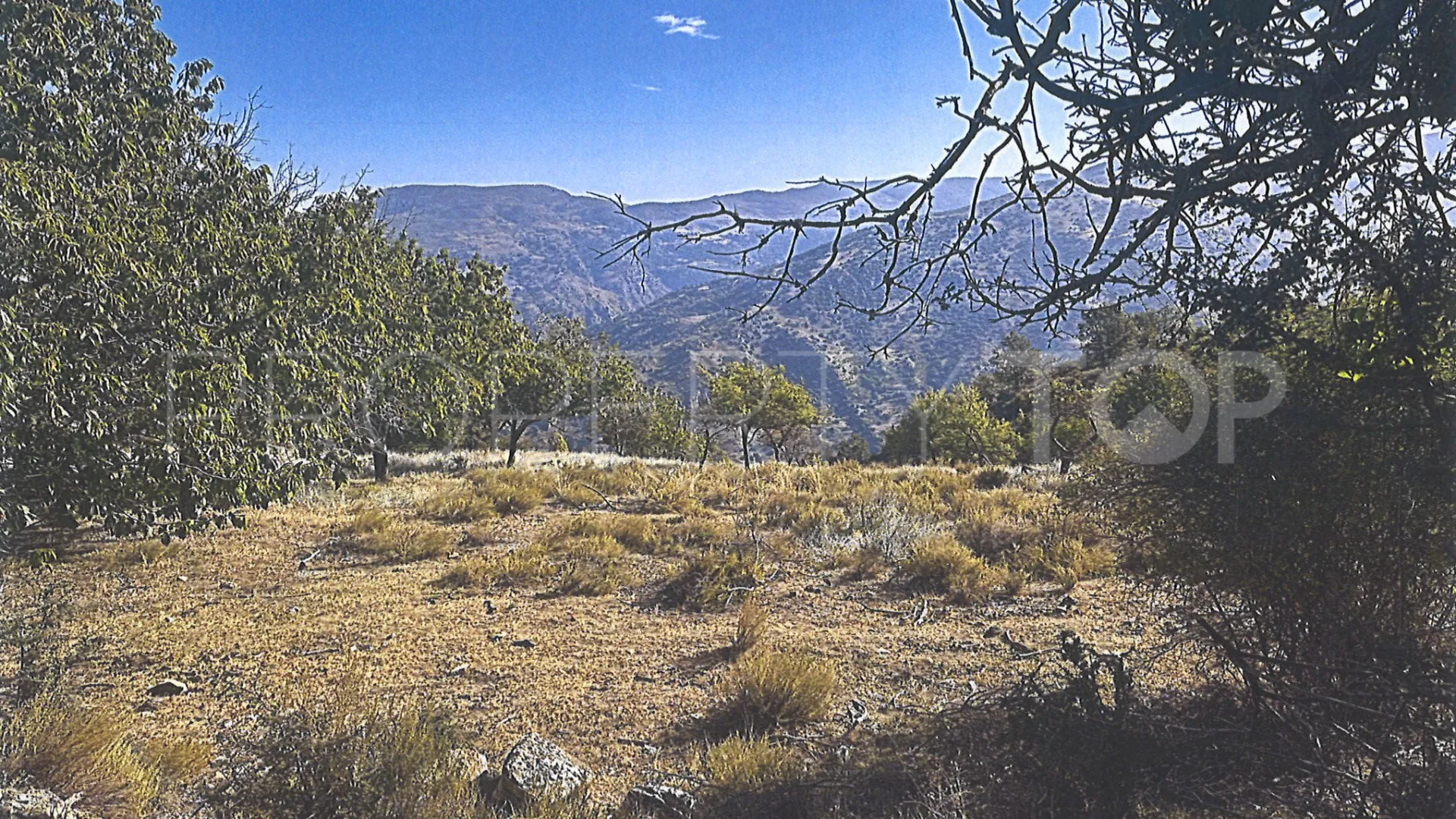 Plot for sale in Güejar Sierra