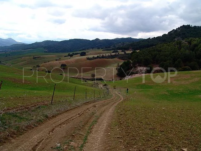Ardales, parcela a la venta
