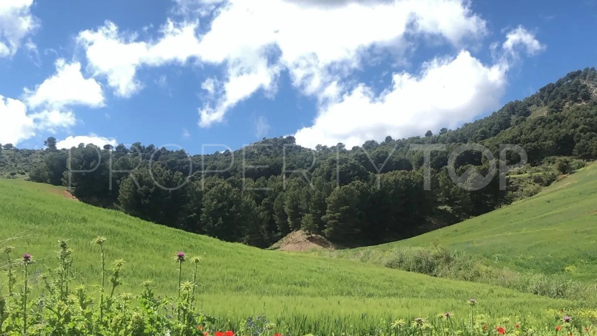 Ardales, parcela a la venta