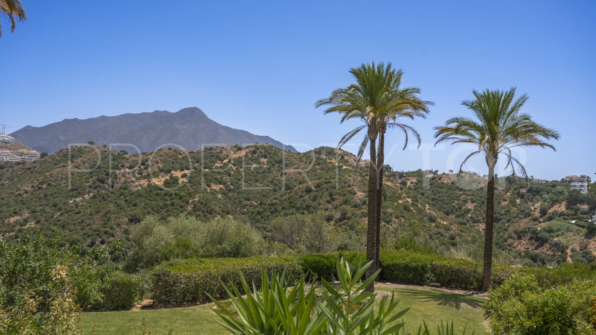 Buy ground floor apartment with 3 bedrooms in Altos de La Quinta