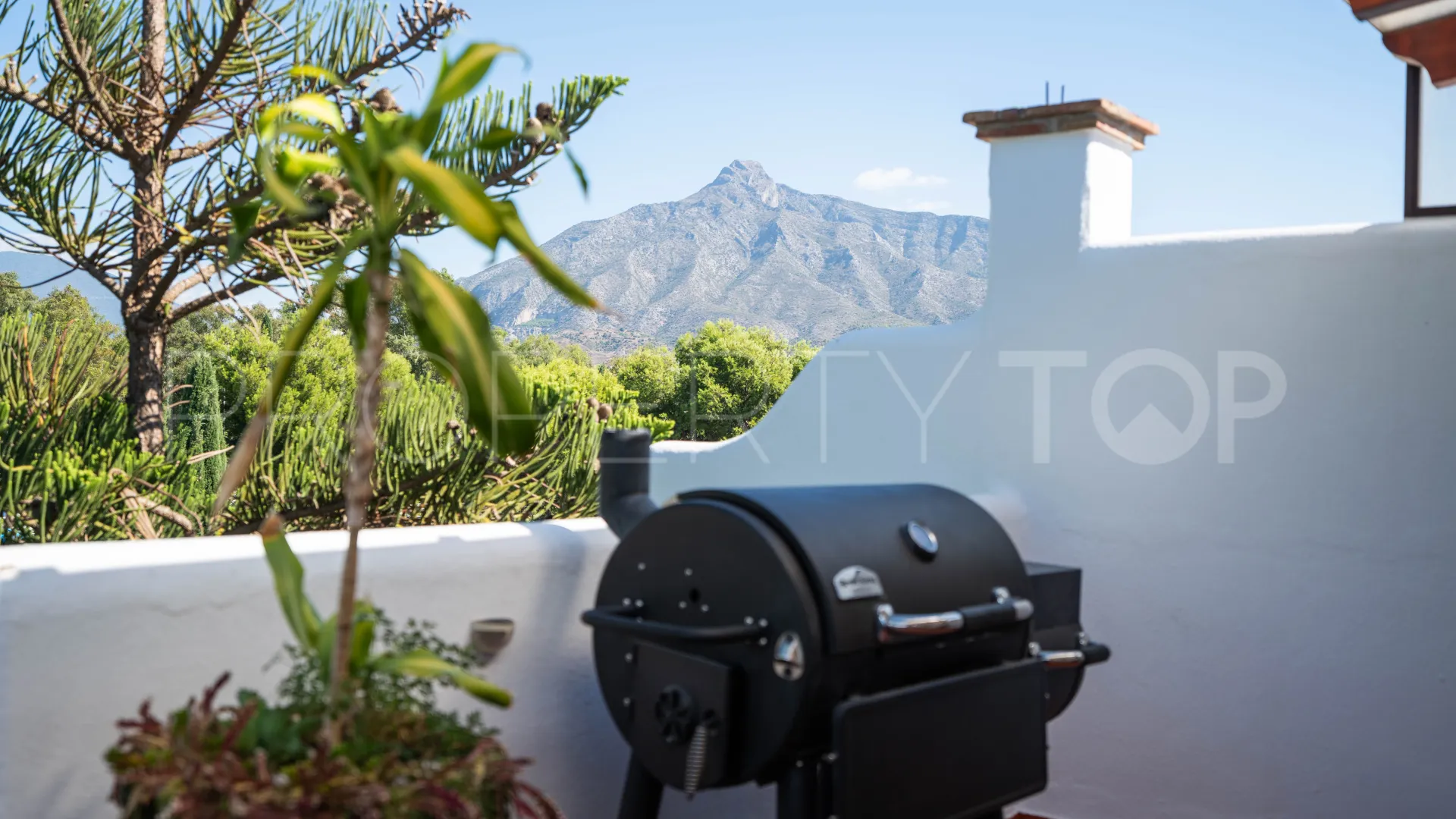2 bedrooms duplex penthouse for sale in Alcazaba Gardens
