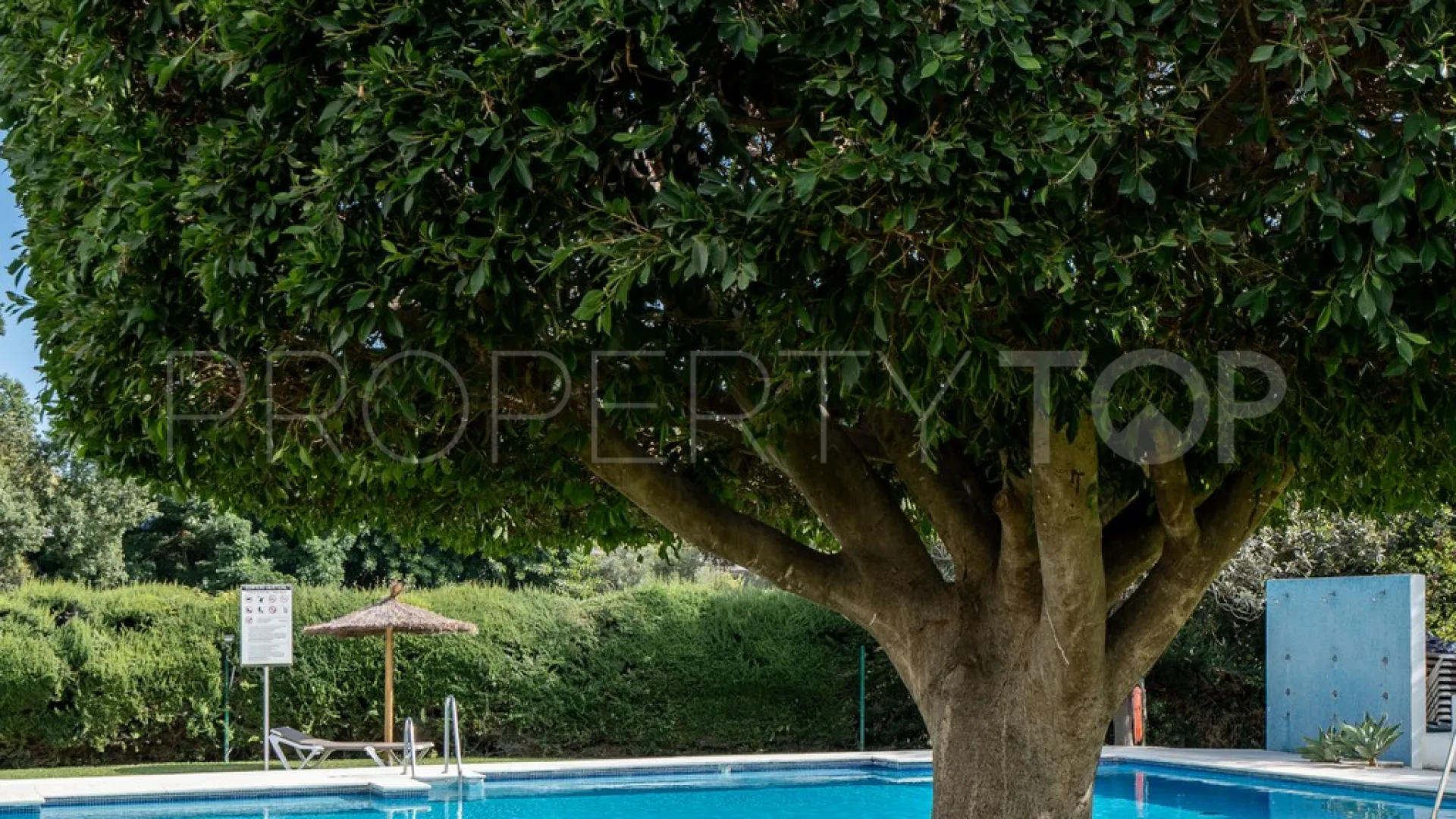 For sale Guadalmina Alta 2 bedrooms apartment