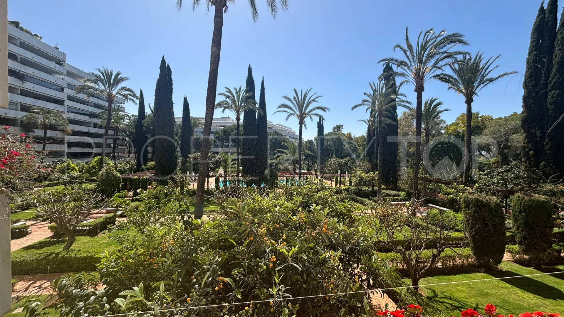 Buy apartment with 3 bedrooms in Don Gonzalo