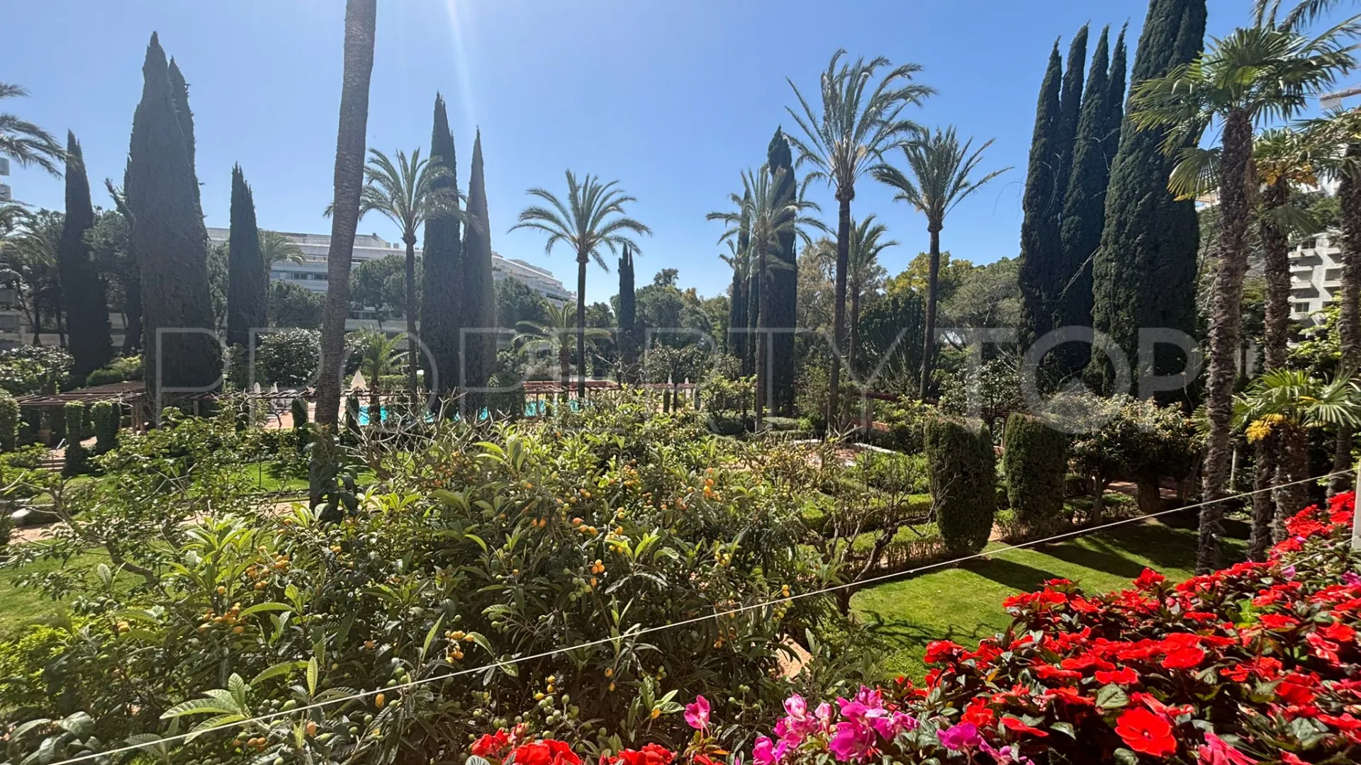 Buy apartment with 3 bedrooms in Don Gonzalo