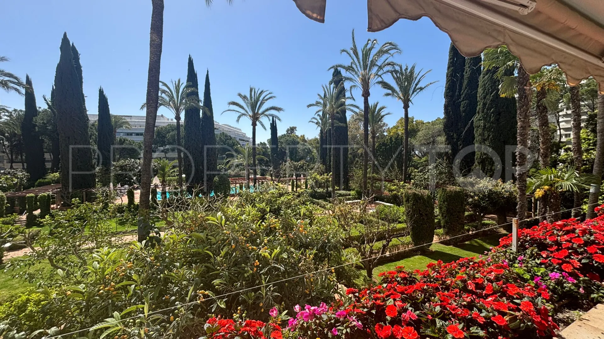 Buy apartment with 3 bedrooms in Don Gonzalo