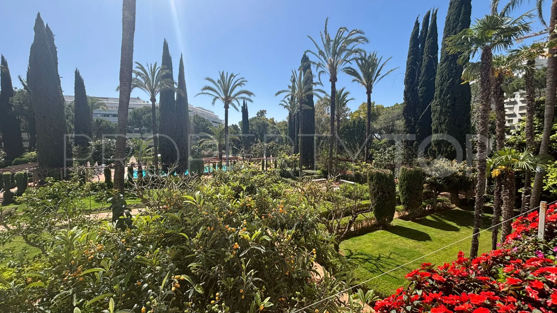 Buy apartment with 3 bedrooms in Don Gonzalo