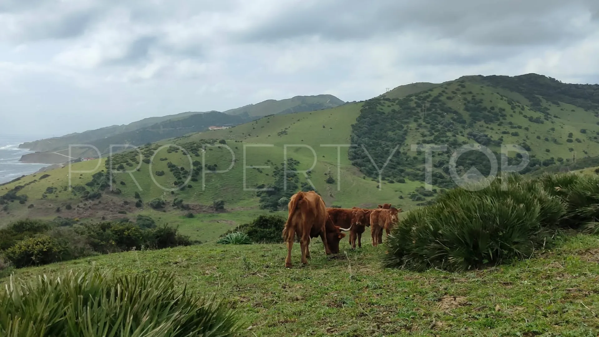 Comprar finca en Tarifa