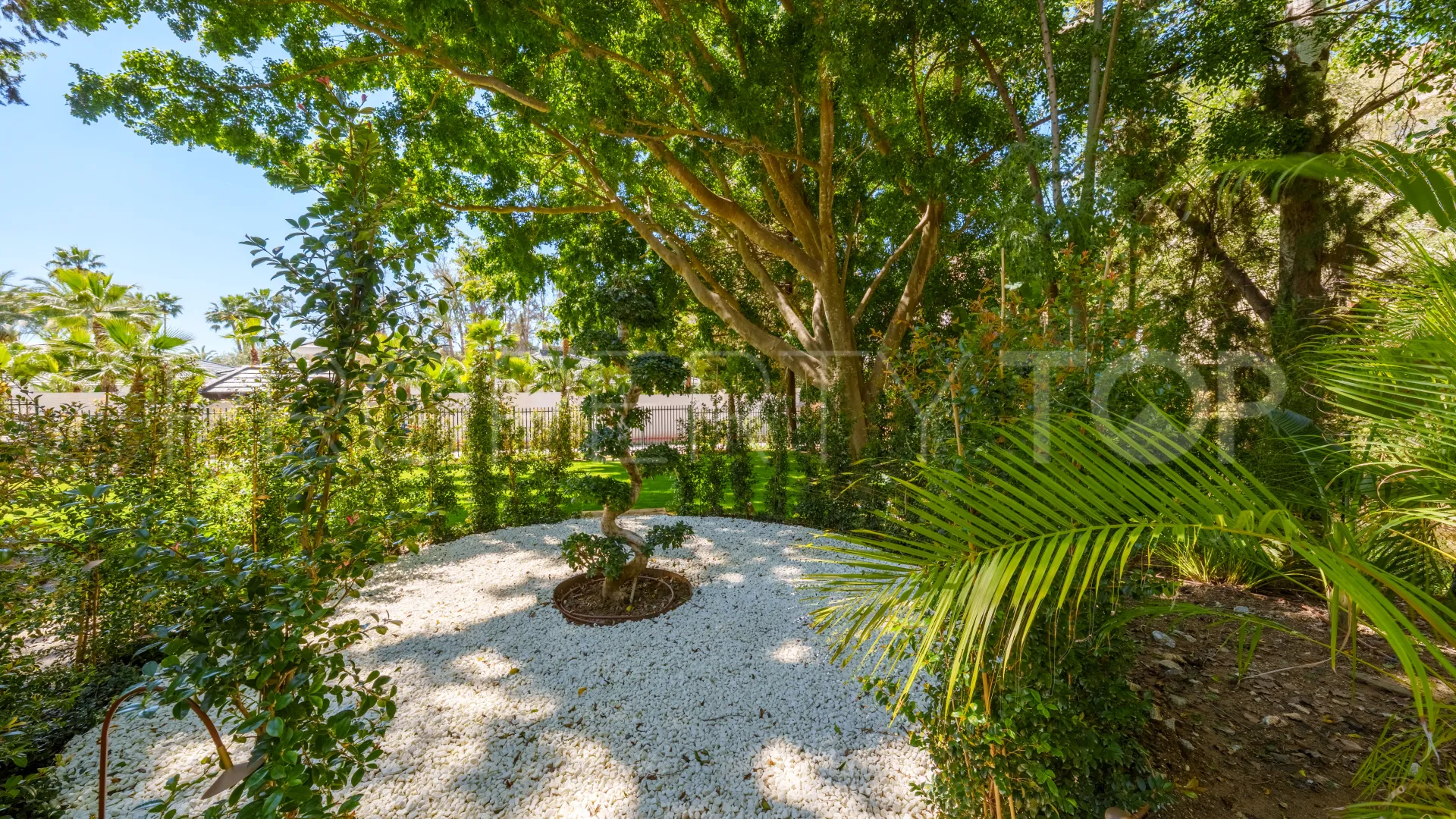 Buy villa in Las Brisas