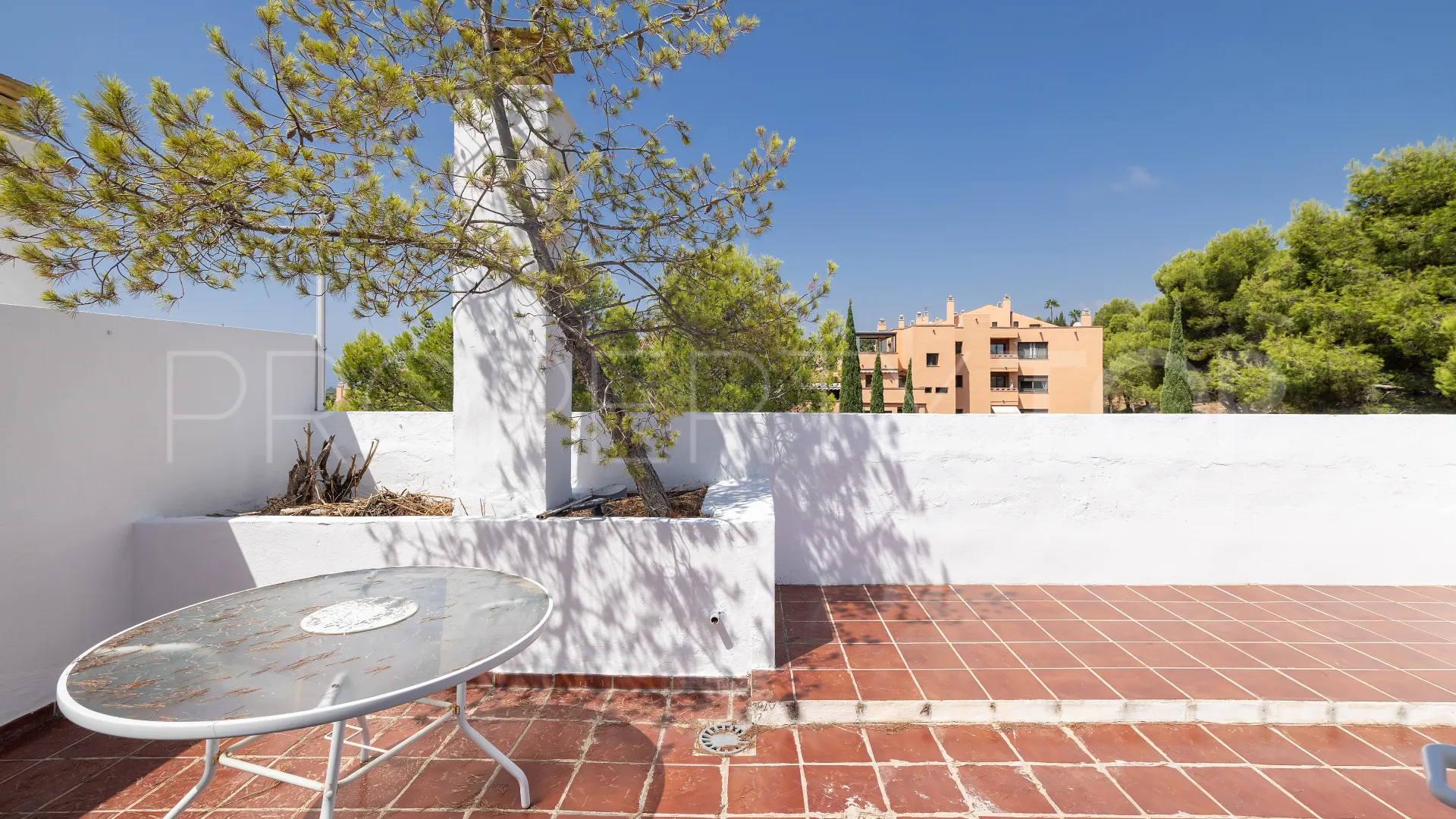 Buy duplex penthouse with 2 bedrooms in Nagüeles
