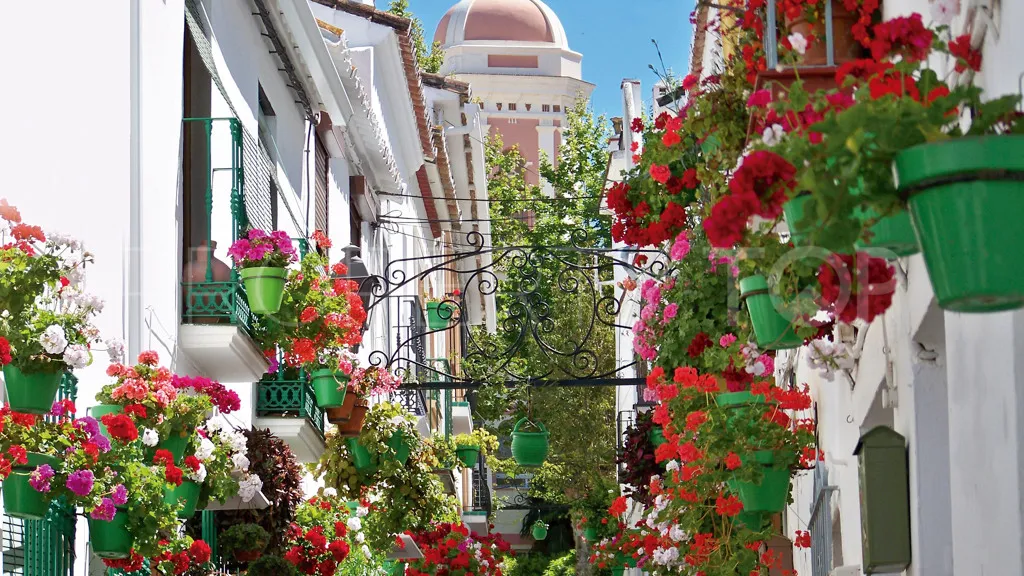 Comprar parcela en Estepona