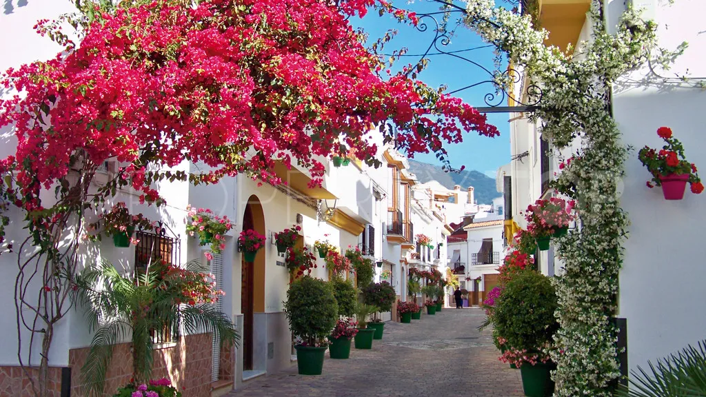 Estepona, local comercial en venta