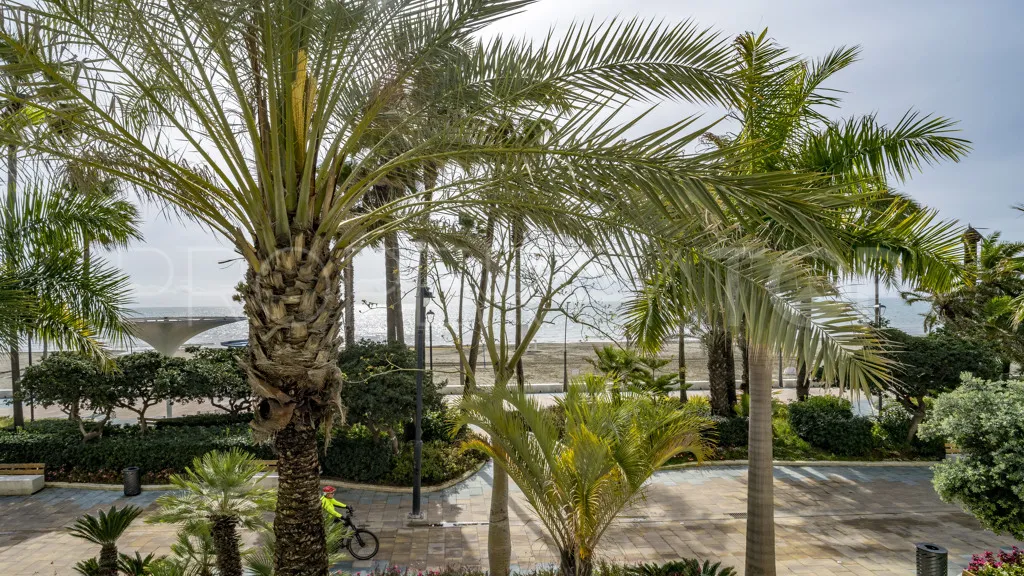 1 bedroom apartment in Estepona for sale
