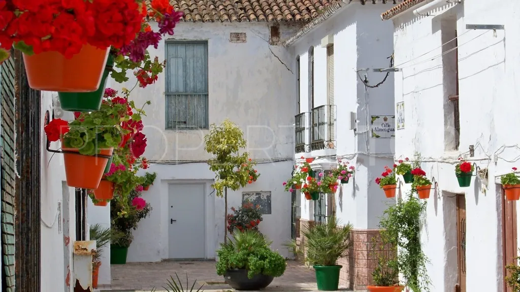 For sale Estepona chalet