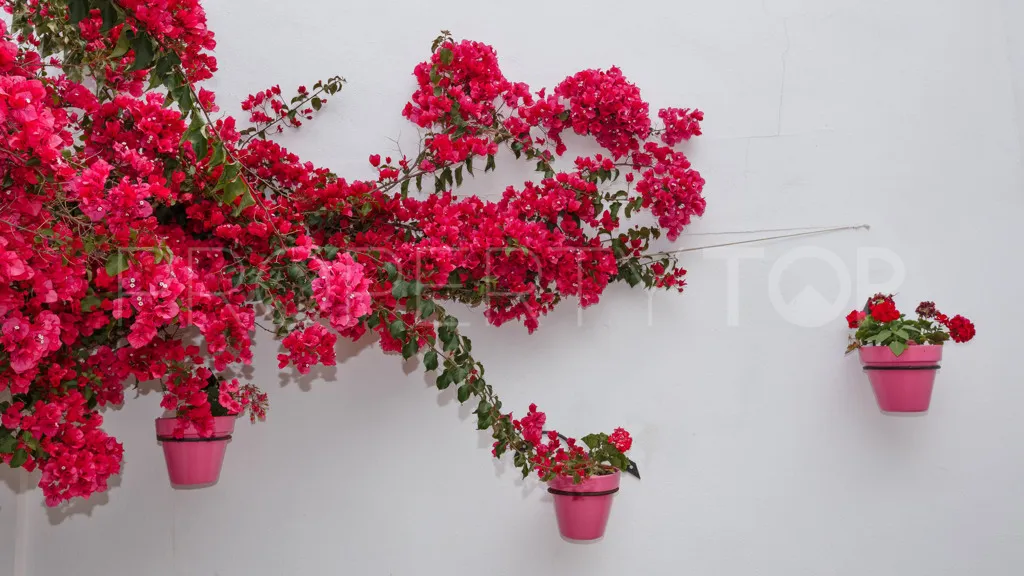 For sale Estepona chalet