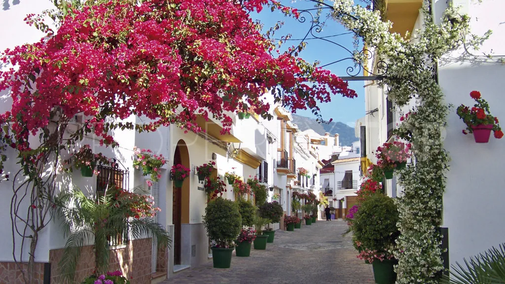 For sale Estepona chalet