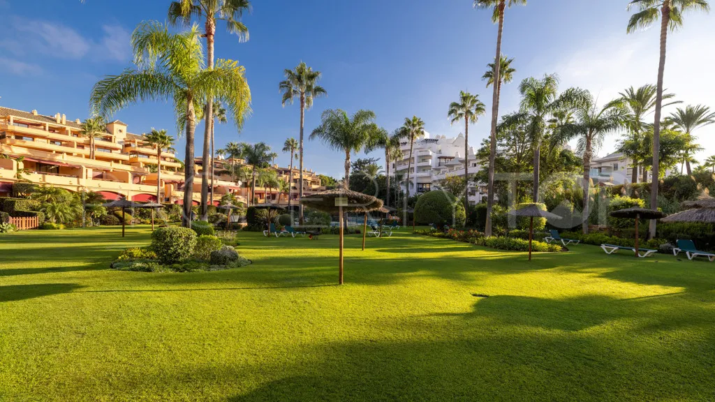 For sale apartment in Seghers