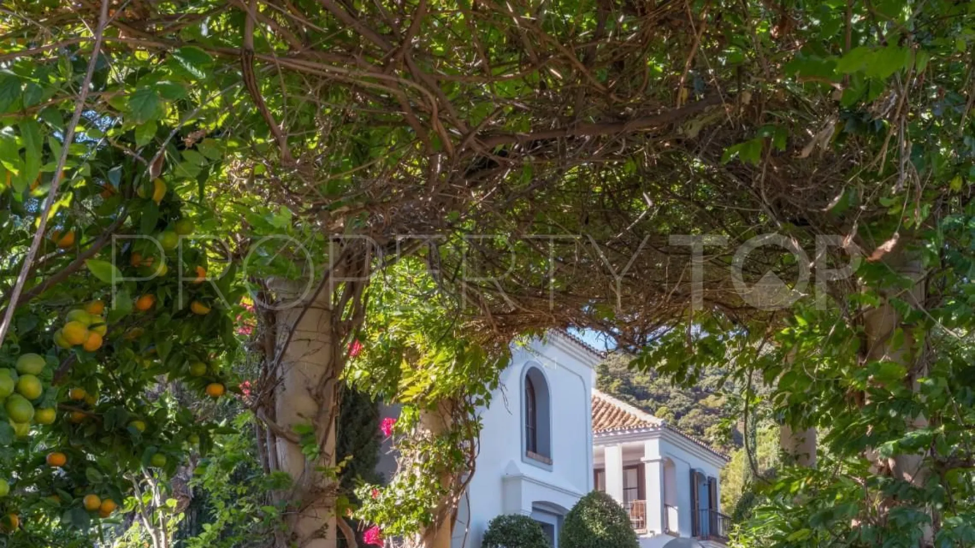 For sale Benahavis villa