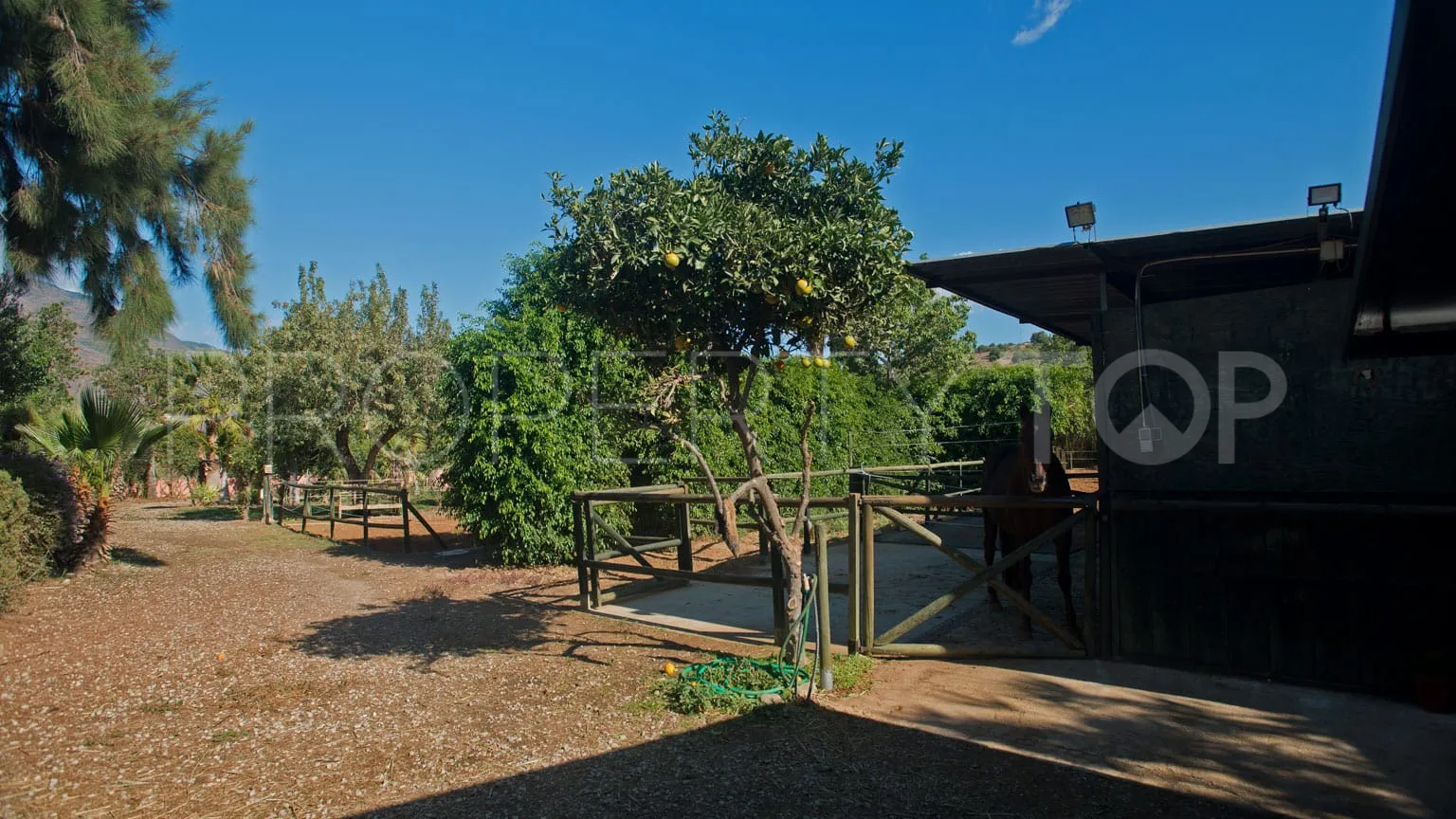 Estepona, casa de campo a la venta