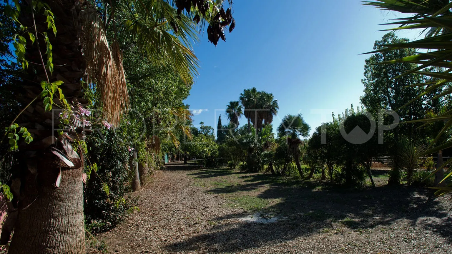 Estepona, casa de campo a la venta