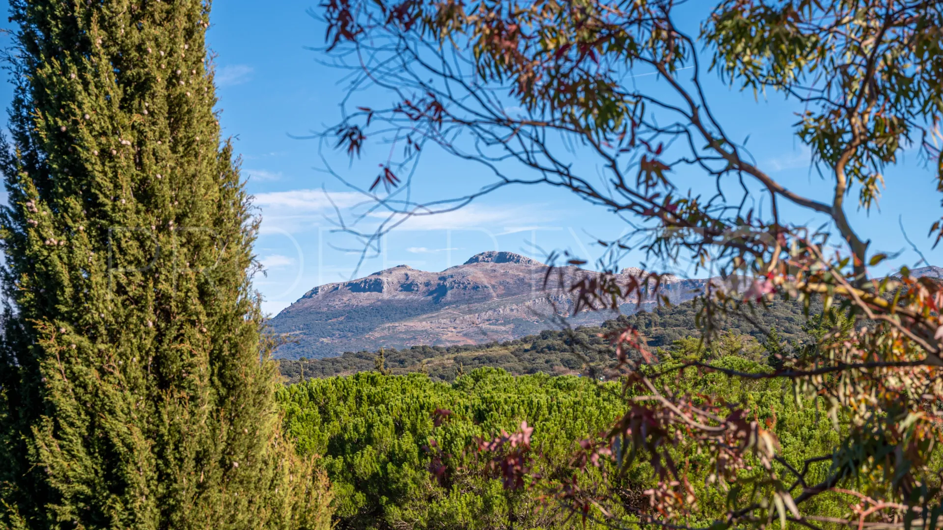 For sale cortijo in Ronda