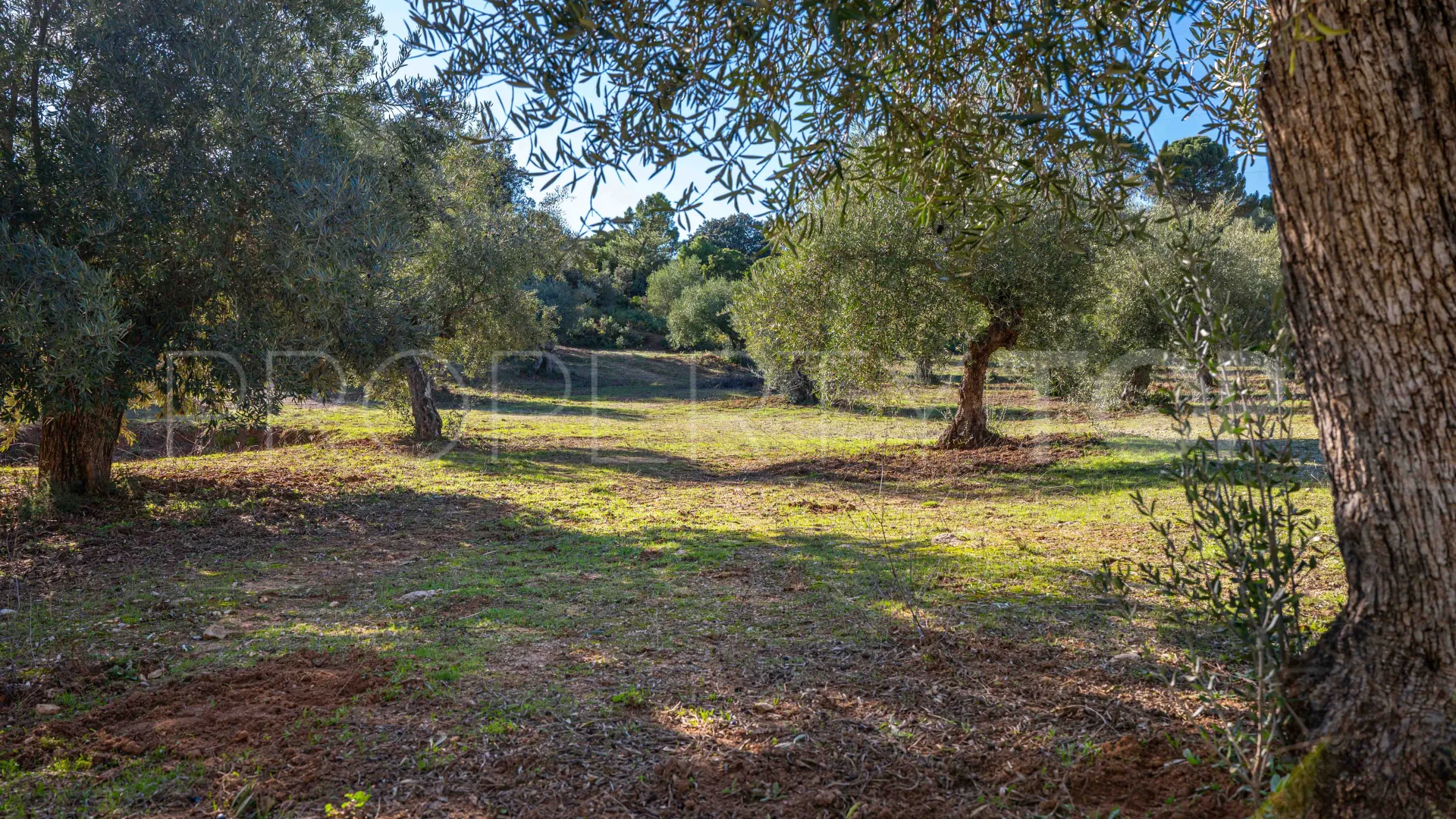 For sale cortijo in Ronda
