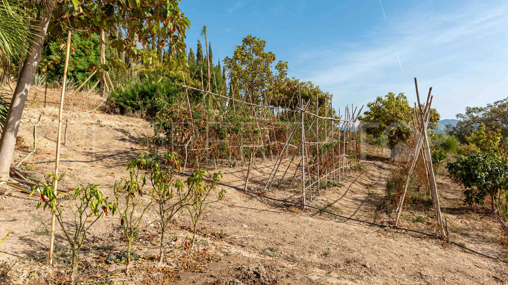 Casa de campo a la venta en Gaucin