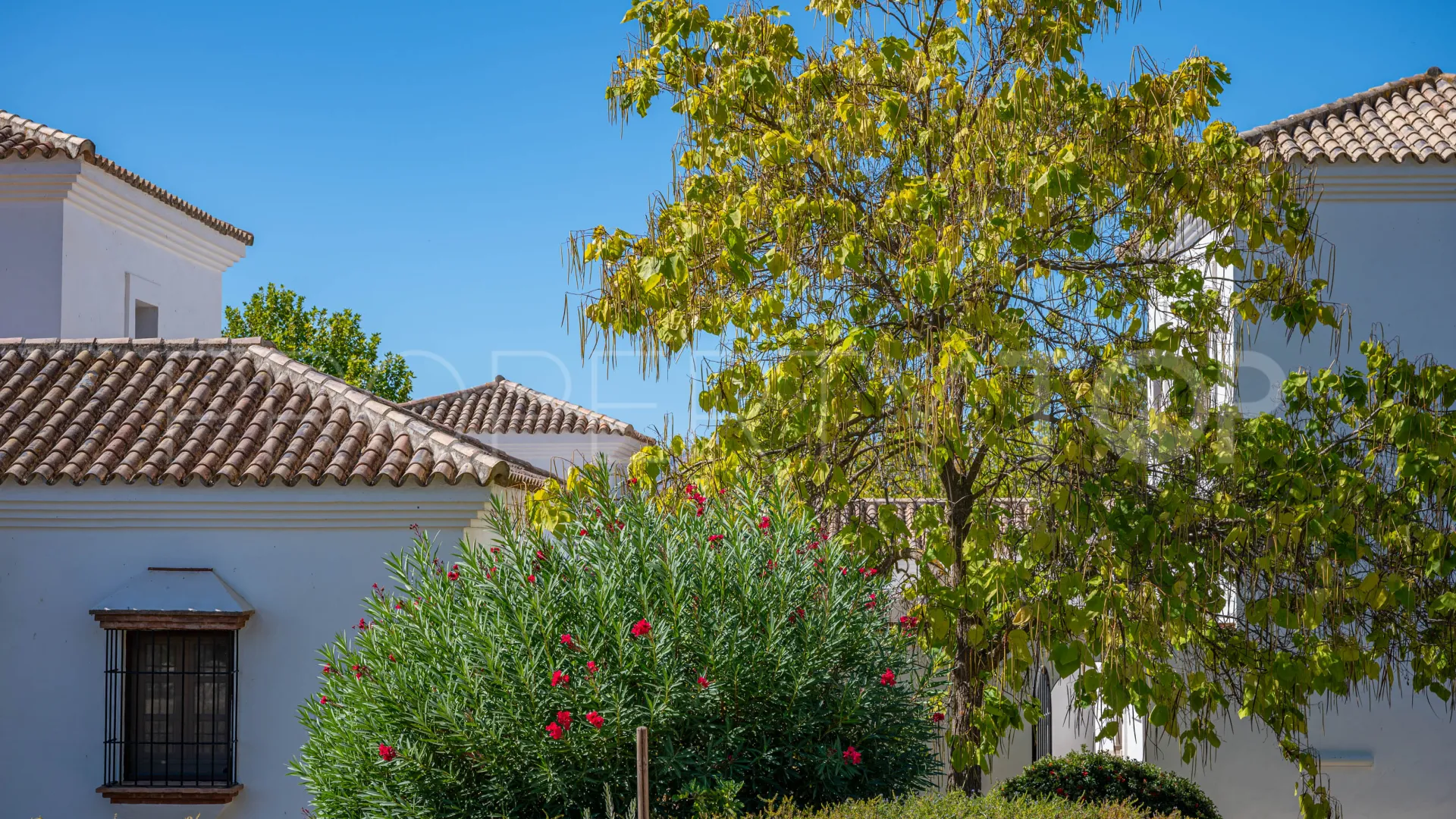 Cortijo in Ronda for sale
