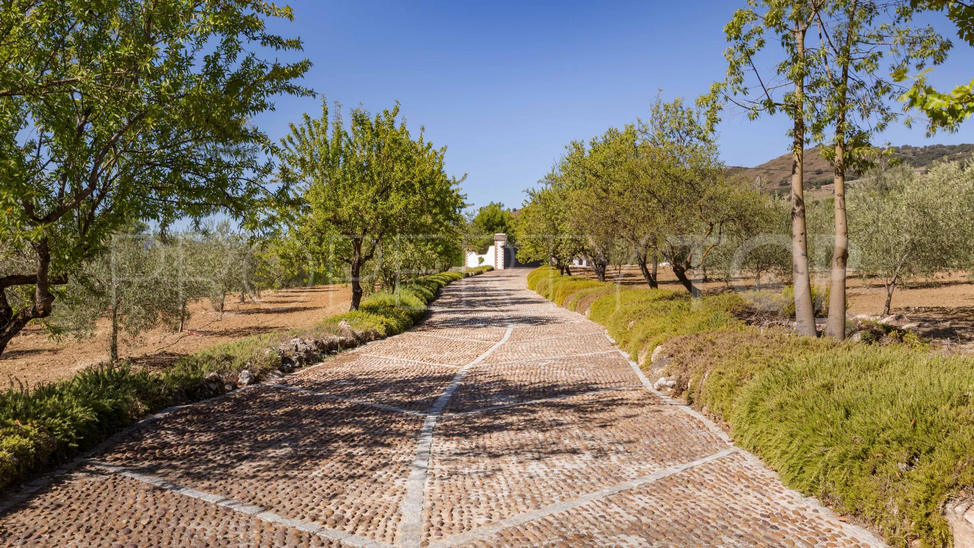 Cortijo in Ronda for sale