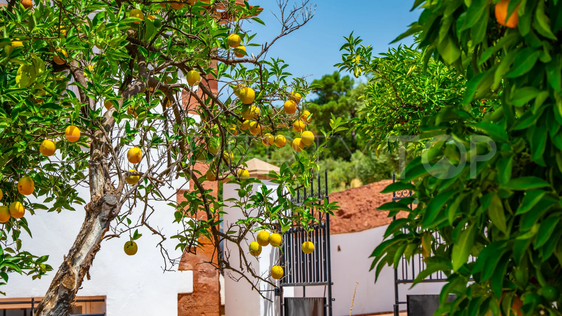 Hacienda de 19 dormitorios en venta en Montoro