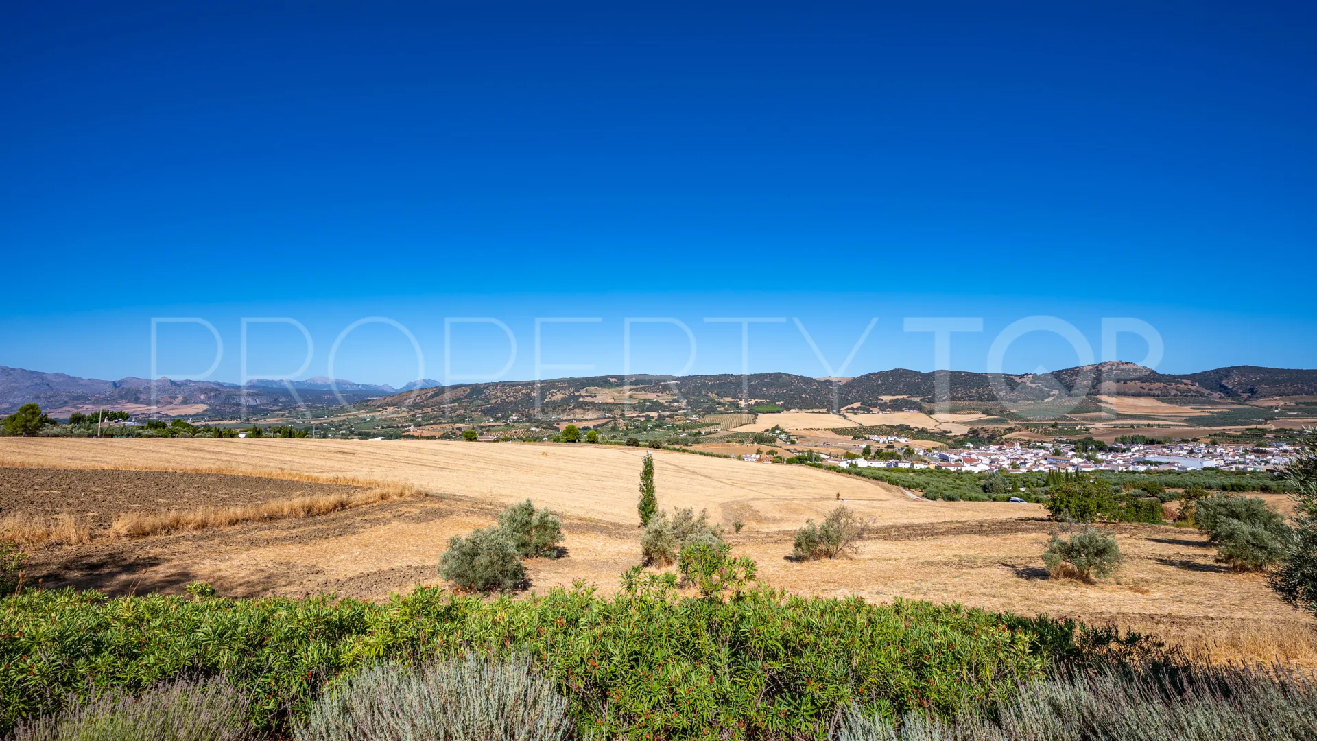 Buy country house in Ronda with 8 bedrooms