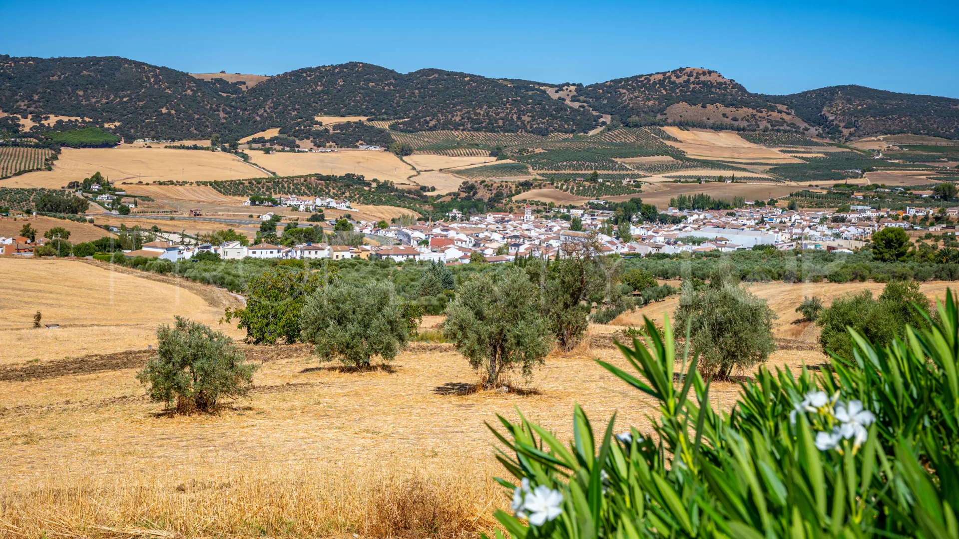 Buy country house in Ronda with 8 bedrooms