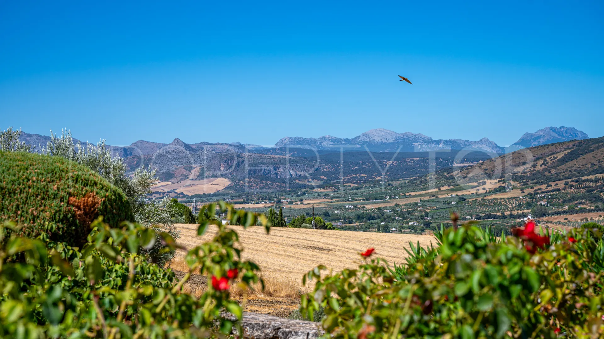 Buy country house in Ronda with 8 bedrooms