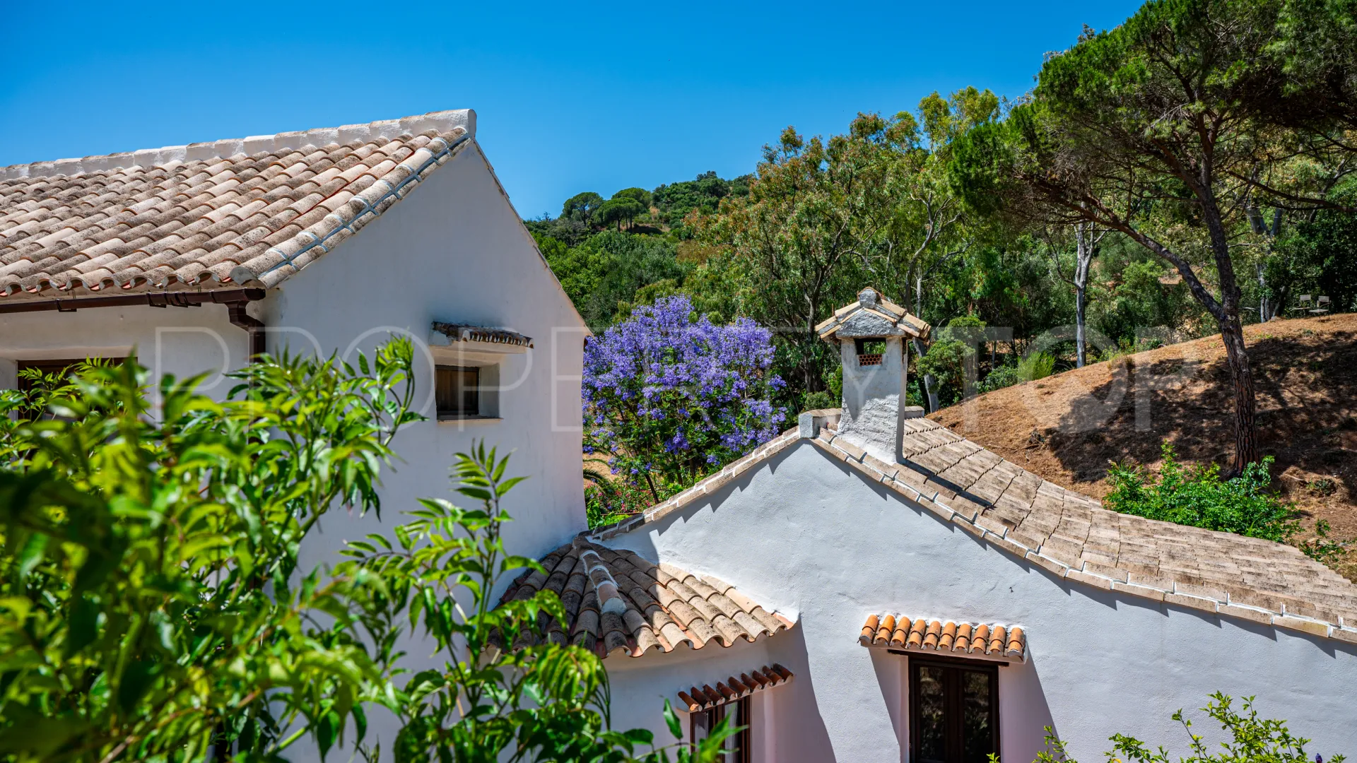 Finca en venta en Casares