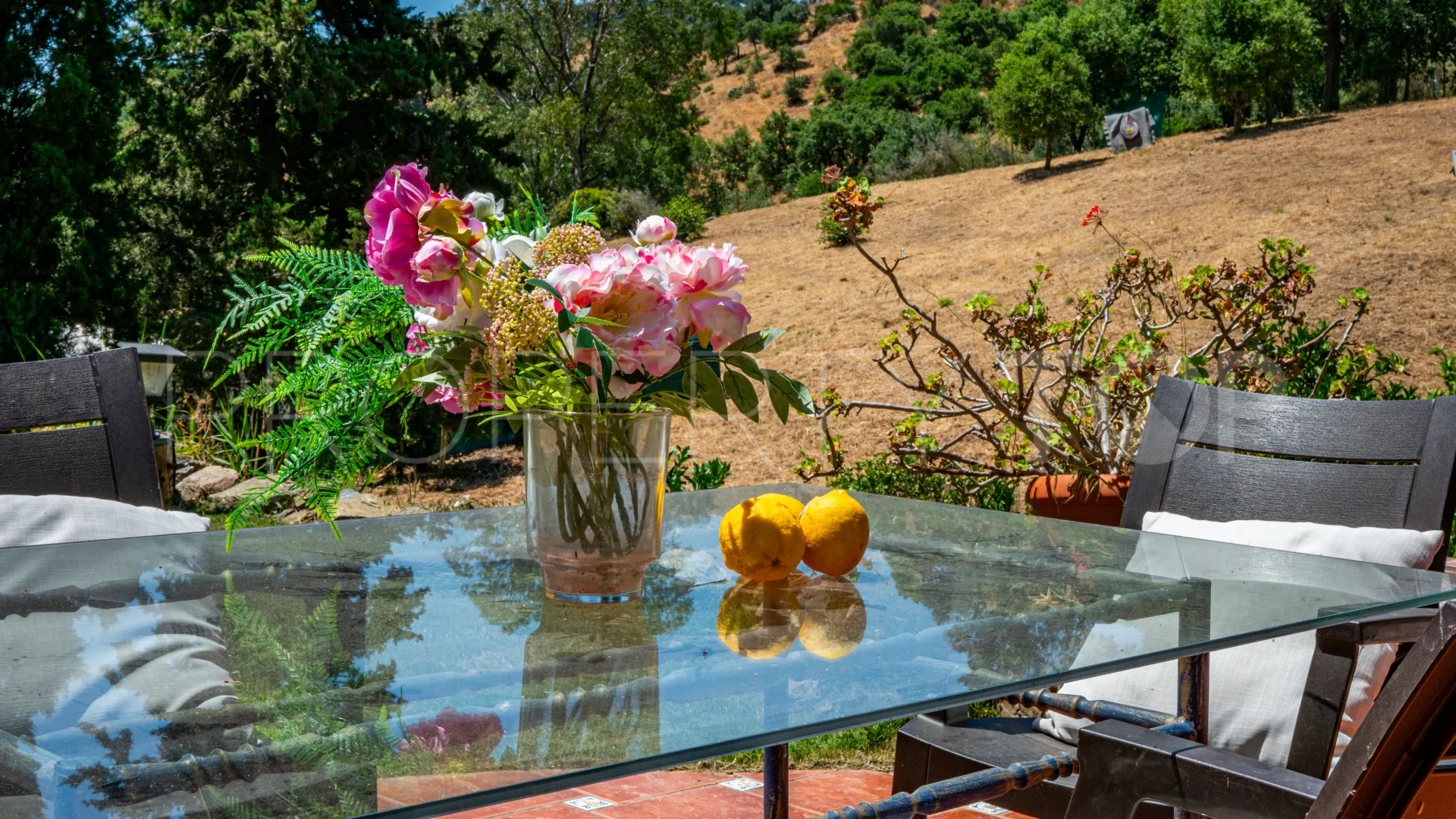 Finca en venta en Casares