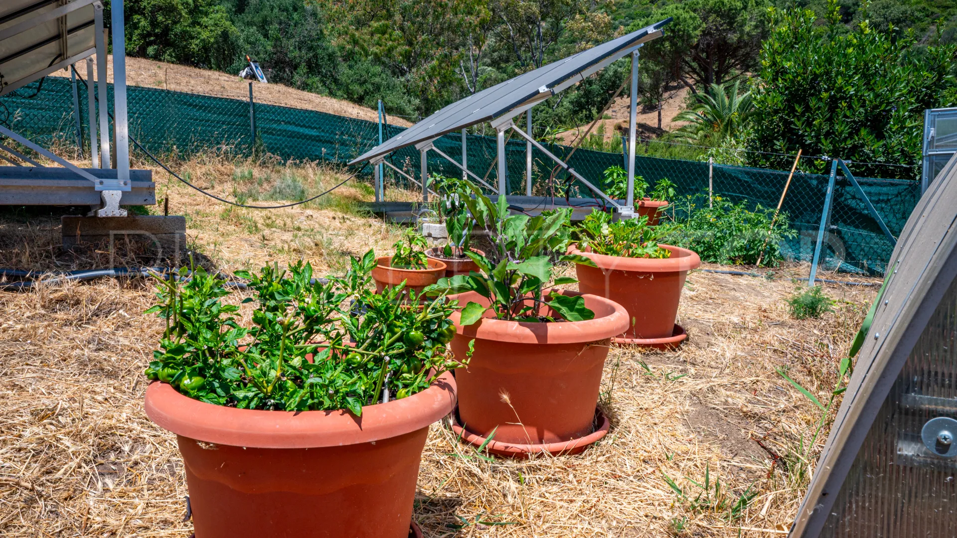 Finca en venta en Casares