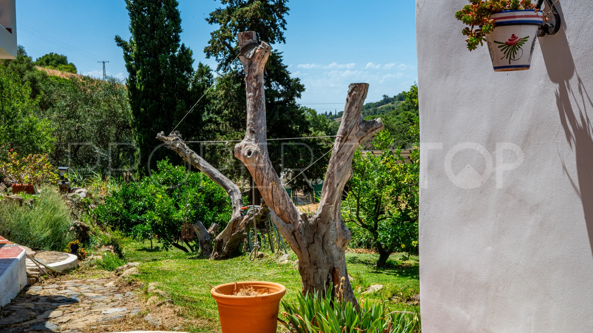 Finca en venta en Casares