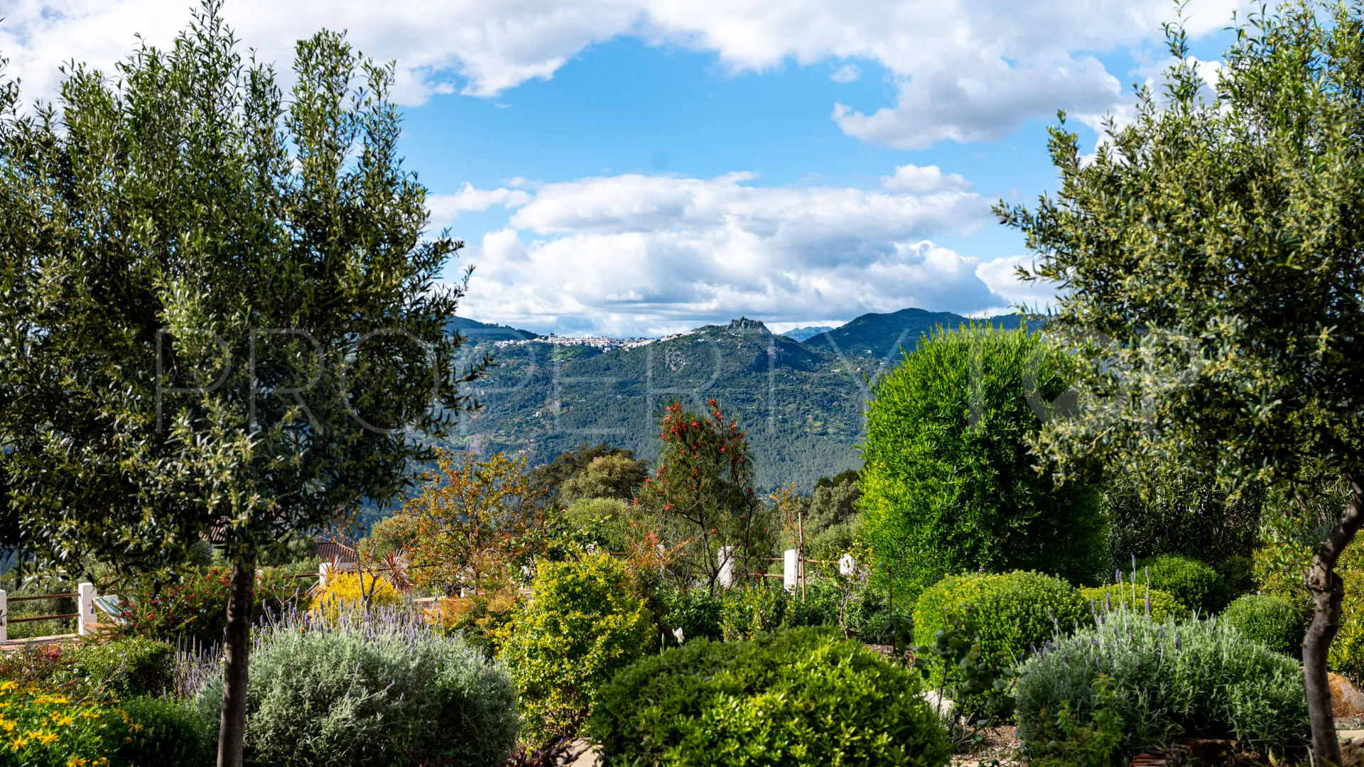 5 bedrooms Casares country house for sale