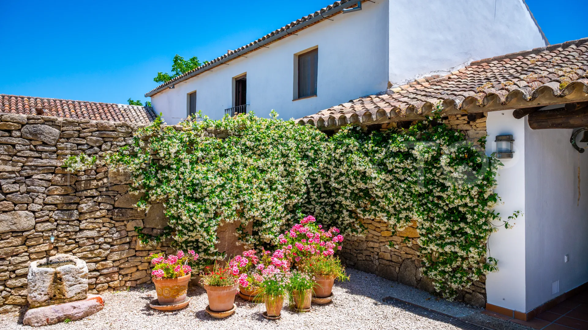 Buy 5 bedrooms cortijo in Ronda