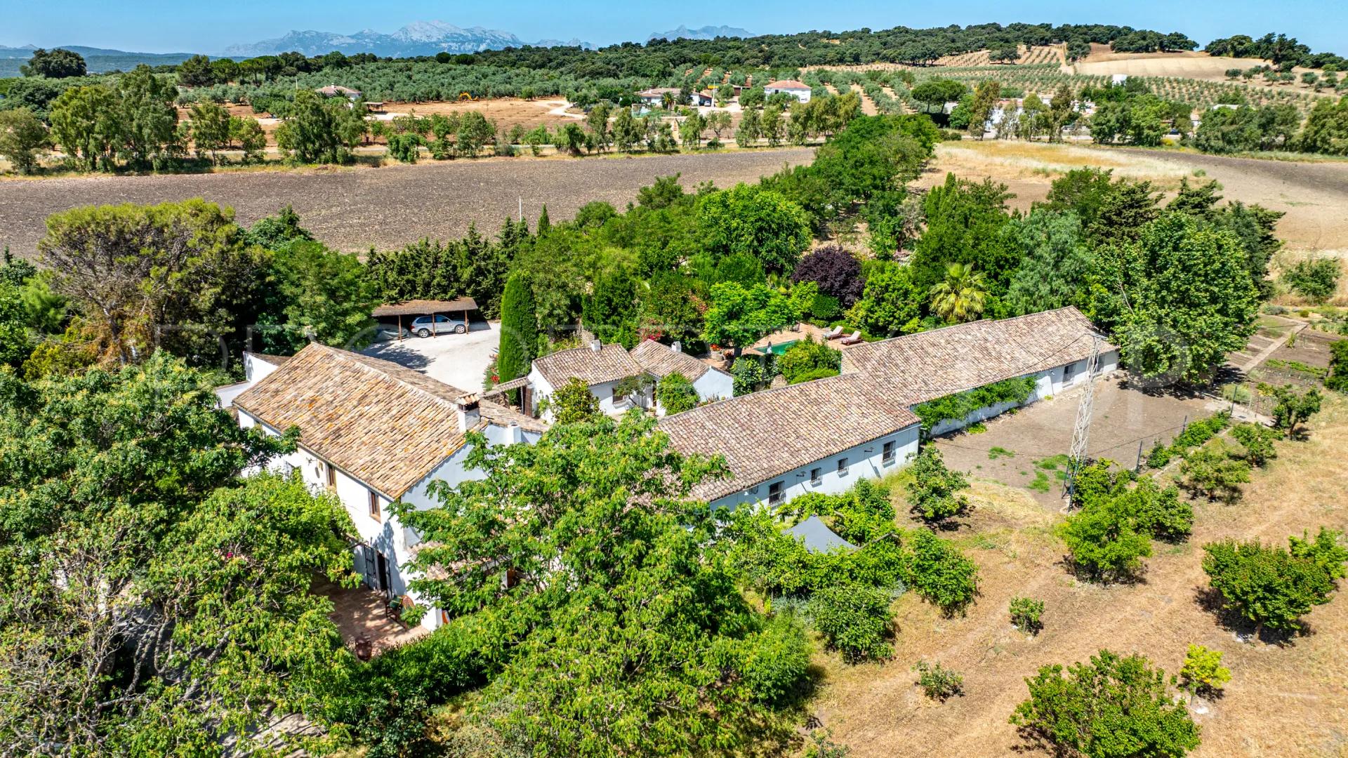 Buy 5 bedrooms cortijo in Ronda