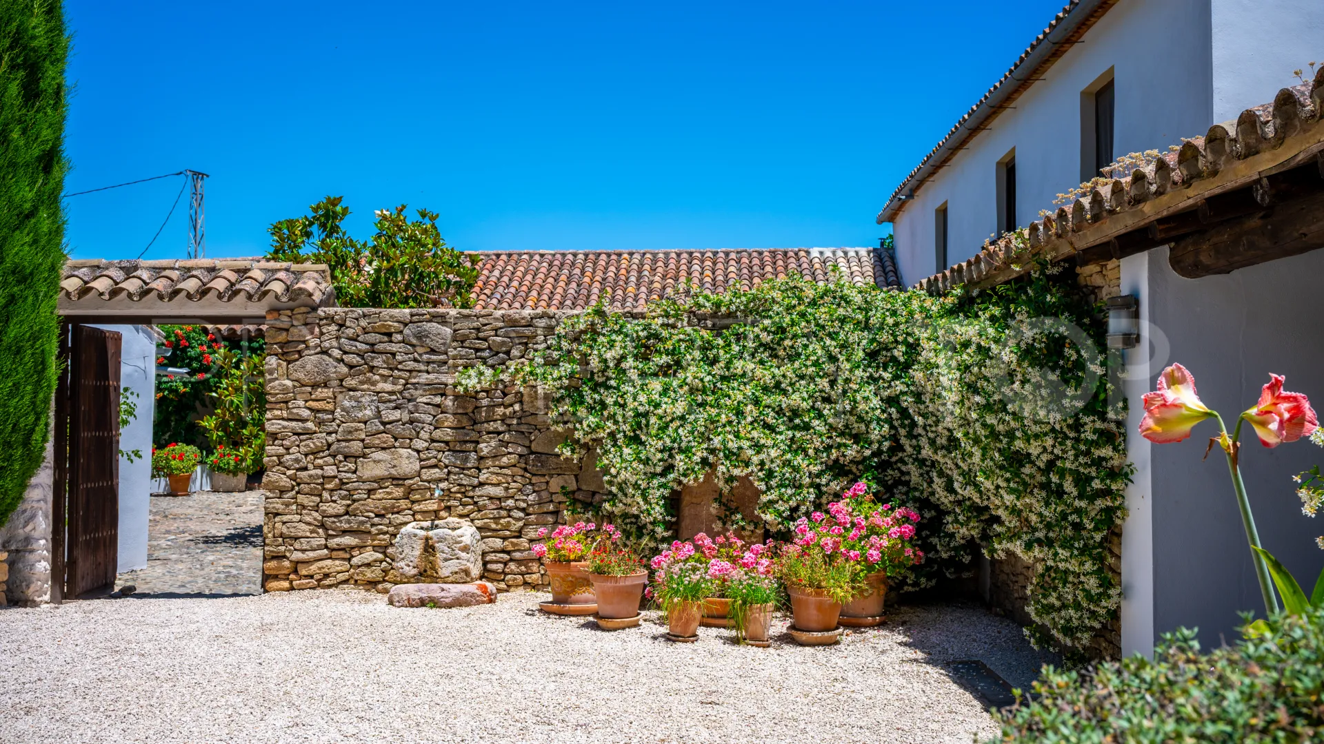 Buy 5 bedrooms cortijo in Ronda