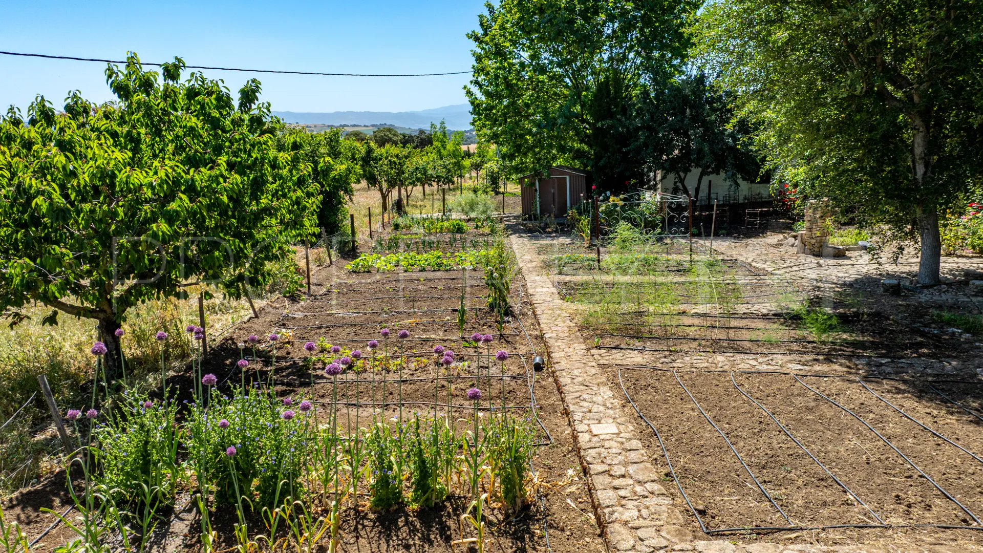 Buy 5 bedrooms cortijo in Ronda