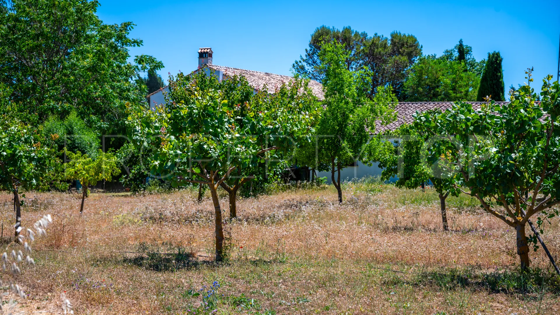 Buy 5 bedrooms cortijo in Ronda