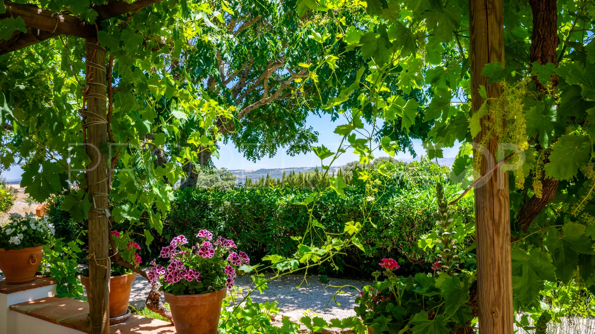 Buy 5 bedrooms cortijo in Ronda