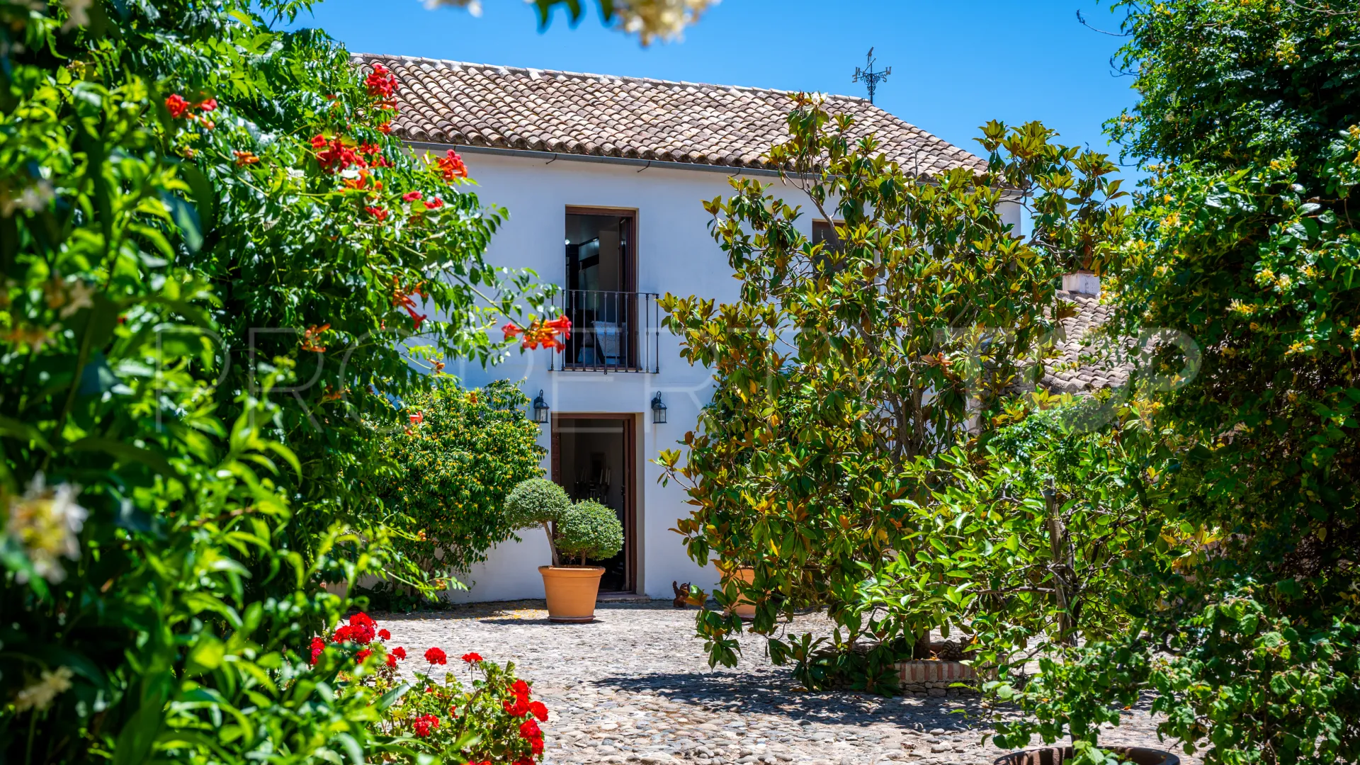 Buy 5 bedrooms cortijo in Ronda