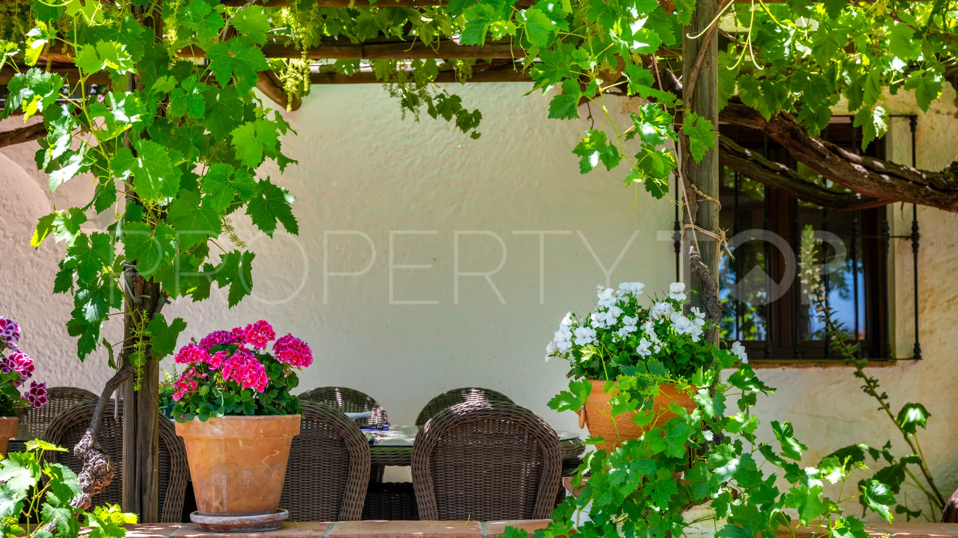 Buy 5 bedrooms cortijo in Ronda