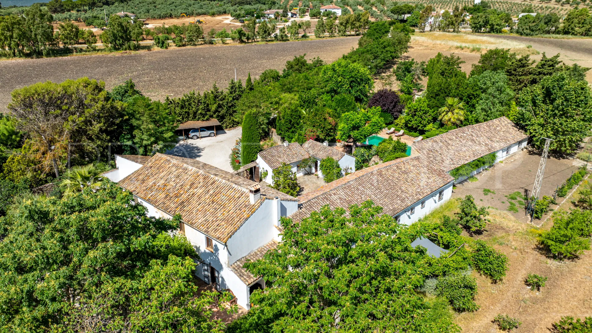 Buy 5 bedrooms cortijo in Ronda